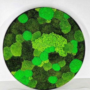 Mosschilderen met mix mossen (Rendiermos Bolmos Provence)