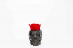 Betonnen vaas in de vorm van een 3d schedel met een roos