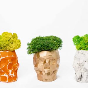 Betonnen vaas in de vorm van een 3D-schedel met Rendeiermos en gestabiliseerde planten