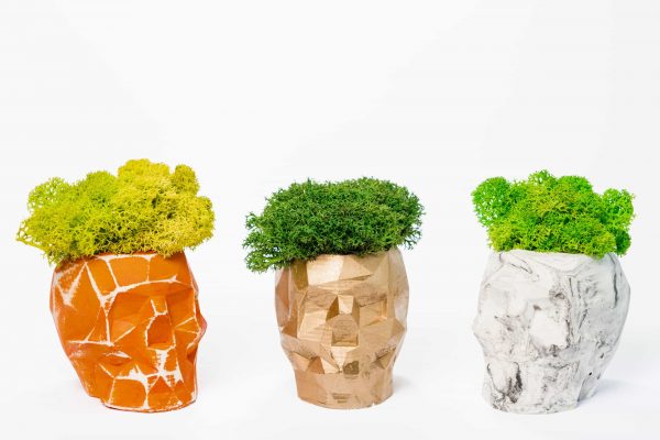 Betonnen vaas in de vorm van een 3d-schedel met rendeiermos en gestabiliseerde planten