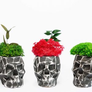 Betonnen vaas in de vorm van een 3D-schedel met korstmos en gestabiliseerde planten