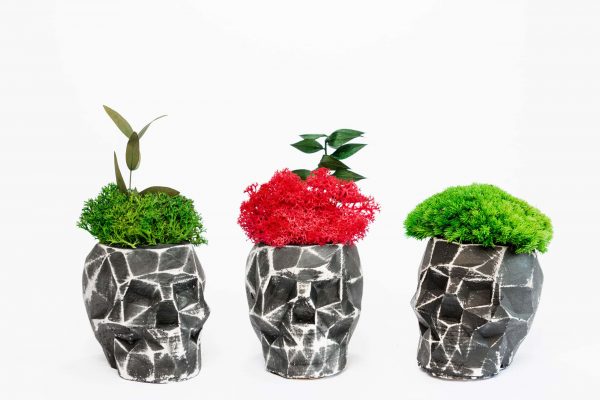 Betonnen vaas in de vorm van een 3d-schedel met korstmos en gestabiliseerde planten