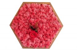 Mosschilderij hexagon met rendiermos en roos