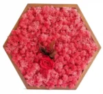 Mosschilderij Hexagon met Rendiermos en Roos