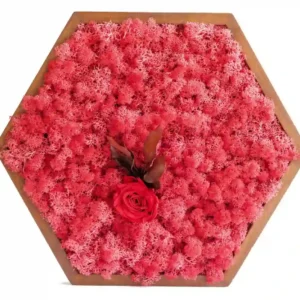 Mosschilderij Hexagon met Rendiermos en Roos