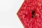 Mosschilderij Hexagon met Rendiermos en Roos