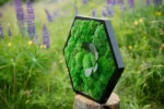 Mosschilderij Hexagon met Bolmos en Bladeren