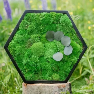 Mosschilderij Hexagon met Bolmos en Bladeren