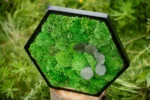 Mosschilderij Hexagon met Bolmos en Bladeren