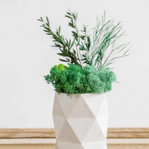 Origy betonnen vaas met Rendiermos en planten