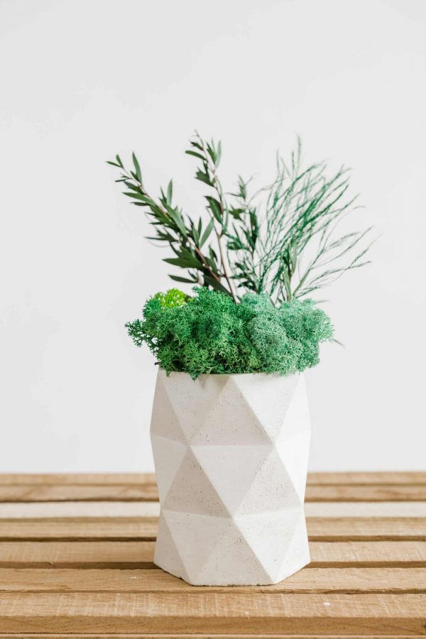 Origy betonnen vaas met rendiermos en planten