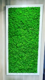 Mosschilderij met Rendiermos