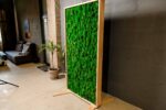 Draagbare Partities met Hout en Mos