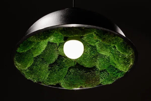 Hanglamp met bolmos