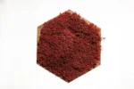 Mosschilderij Hexagon met Rendiermos