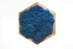 Mosschilderij Hexagon met Rendiermos