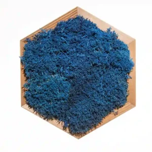Mosschilderij Hexagon met Rendiermos