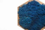 Mosschilderij Hexagon met Rendiermos