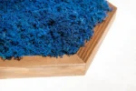 Mosschilderij Hexagon met Rendiermos