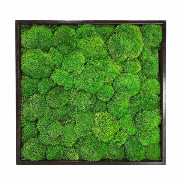 Mosschilderij met bolmos