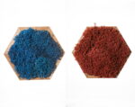 Mosschilderij Hexagon met mix Mos