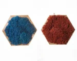 Mosschilderij Hexagon met Rendiermos