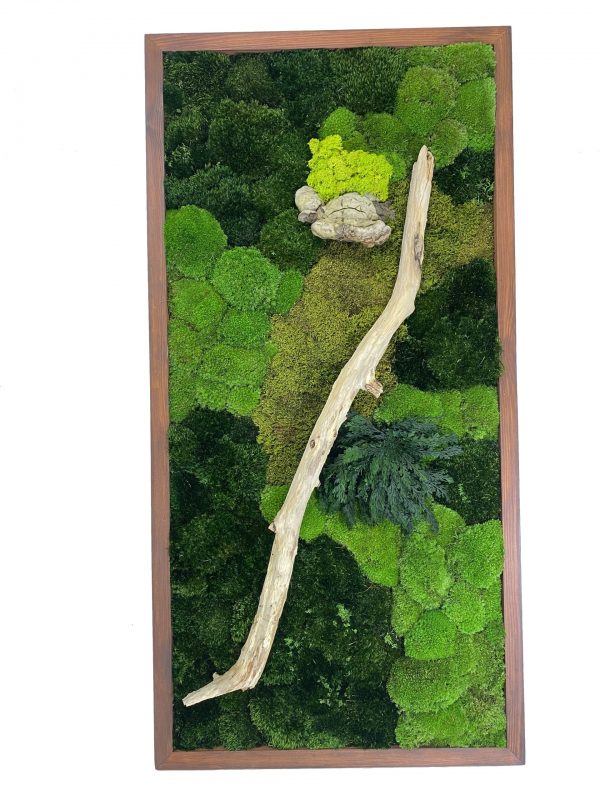 Mosschilderij mix van mos Hout en Planten