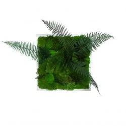 Obrazy z machu | dekorácie z machu | steny z machu | obrazy z machu