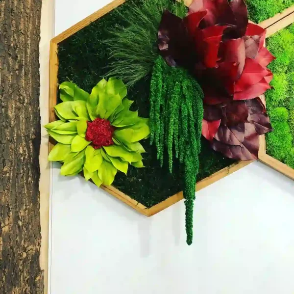Mosschilderij Hexagon met Mos Bloemen en Planten