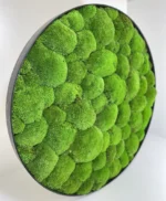 Rond mosschilderij met Bolmos