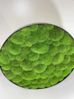 Rond mosschilderij met Bolmos