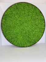 Rond Mosschilderij met Rendiermos