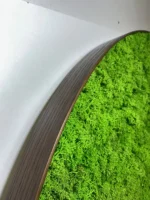 Rond Mosschilderij met Rendiermos