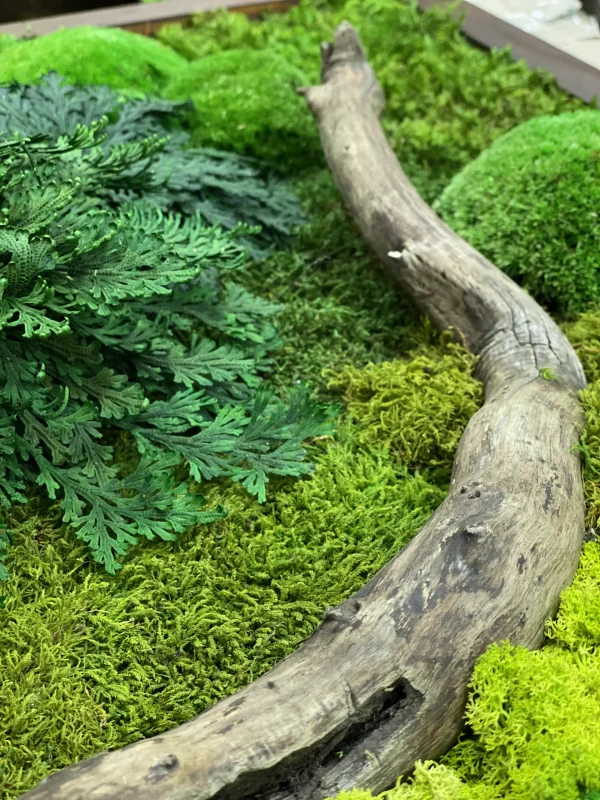 Mosschilderij mix van mos Hout en Planten
