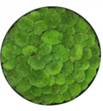 Rond mosschilderij met Bolmos