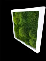 Mosschilderij met Provence Mos