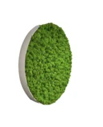 Rond Mosschilderij met Rendiermos