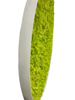 Rond Mosschilderij met Rendiermos