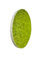 Rond Mosschilderij met Rendiermos