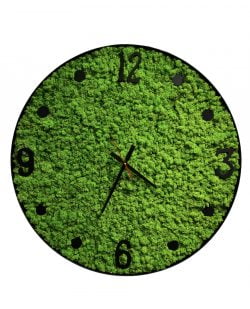 Rond klok met rendiermos. Wandklok