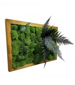 Mosschilderij met bolmos en planten