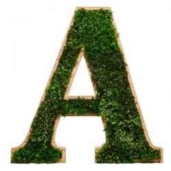 Houten letters & cijfers met provence mos, decoratieletters, 3d letters