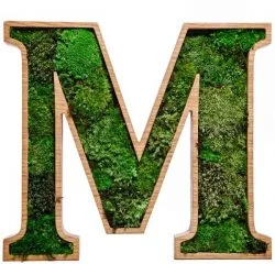 Houten letters & cijfers met bolmos, decoratieletters, 3d letters