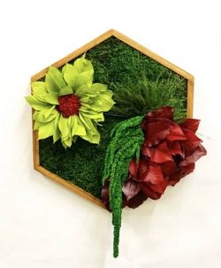 Mosschilderij hexagon met mos bloemen en planten