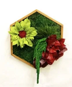 Mosschilderij hexagon met mos bloemen en planten