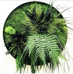 Rond jungle mosschilderij met mos en planten