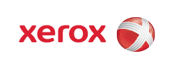 Obrazy a steny z prírodného machu | obrazy z machu Logoxerox