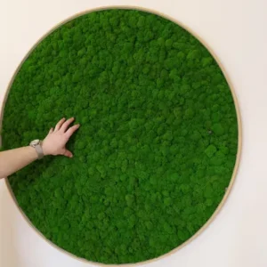 Rond Mosschilderij met Rendiermos