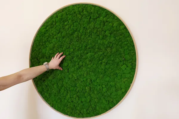Rond Mosschilderij met Rendiermos