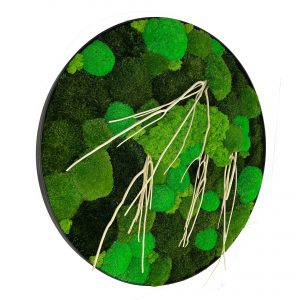 Ronde Mosschilderij met mix mossen en met drijfhout